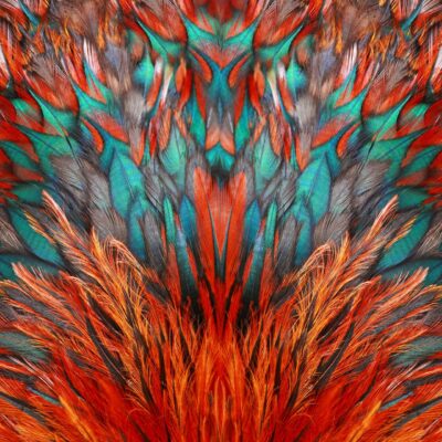 Inside the Numbers: How ProQuest Research Assistant Is Powering Smarter Research