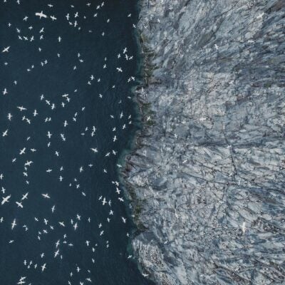 坂口志文先生インタビュー再録：「新しいものが生まれる時の『伝統』 ー 制御性T細胞の発見と研究の足跡