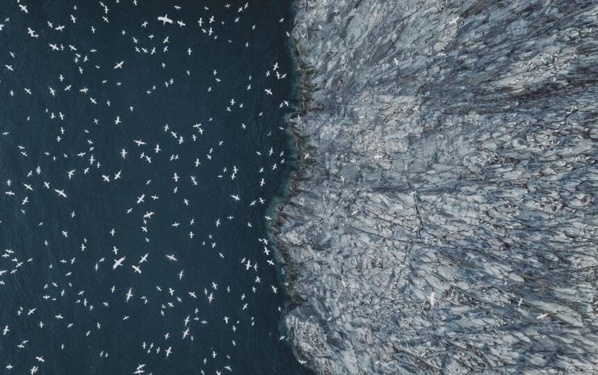 坂口志文先生インタビュー再録：「新しいものが生まれる時の『伝統』 ー 制御性T細胞の発見と研究の足跡