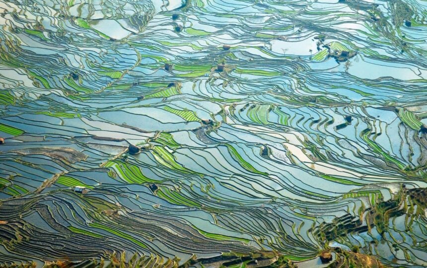 Overcoming health inequity in the U.S. and the role of telehealth [PODCAST]