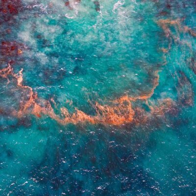 How Novo Ventures prioritized their investment strategy during the pandemic [PODCAST]