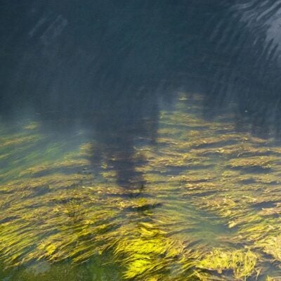 オンデマンドWebinarのご紹介