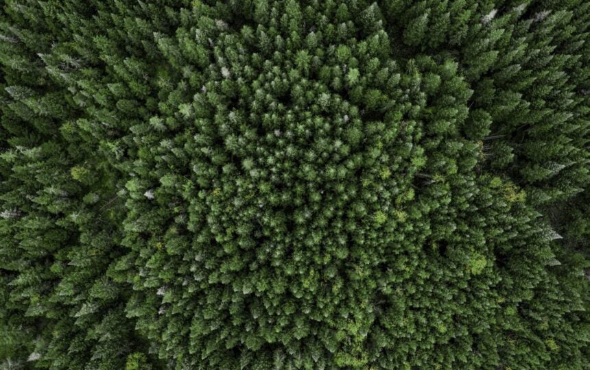 Guided by science to accelerate innovation