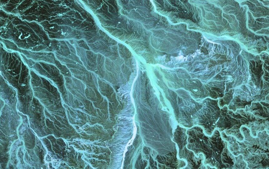 Antibody drug conjugates and bispecifics seize the spotlight at ASCO 2022