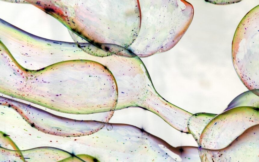 The AMJEVITA impact: Innovative U.S. biosimilar pricing models