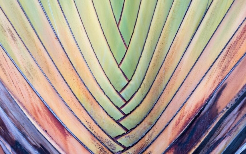 혁신이 항상 급진적일 필요는 없습니다- 당뇨병 치료제의 예