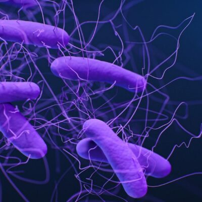 Medical imaging modalities: A spotlight on the liver