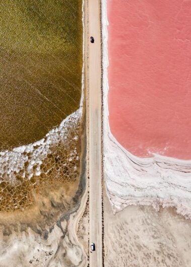 “언드러거블(undruggable)” 표적을 정밀하게 공략하는 6개 혁신기업