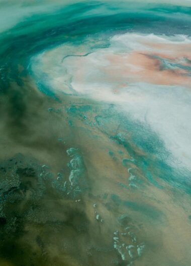 GLP-1 weight loss access comes down to a dogfight in the U.S.