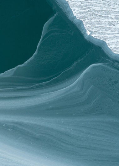 Navigating Complete Response Letters: how Clarivate solutions can help pharmas chart their path to approval