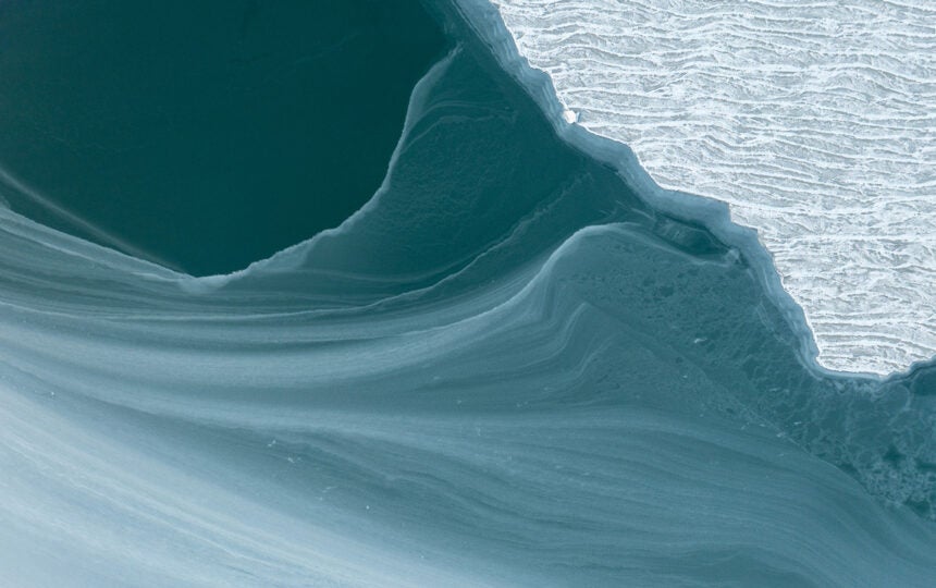 Navigating Complete Response Letters: how Clarivate solutions can help pharmas chart their path to approval