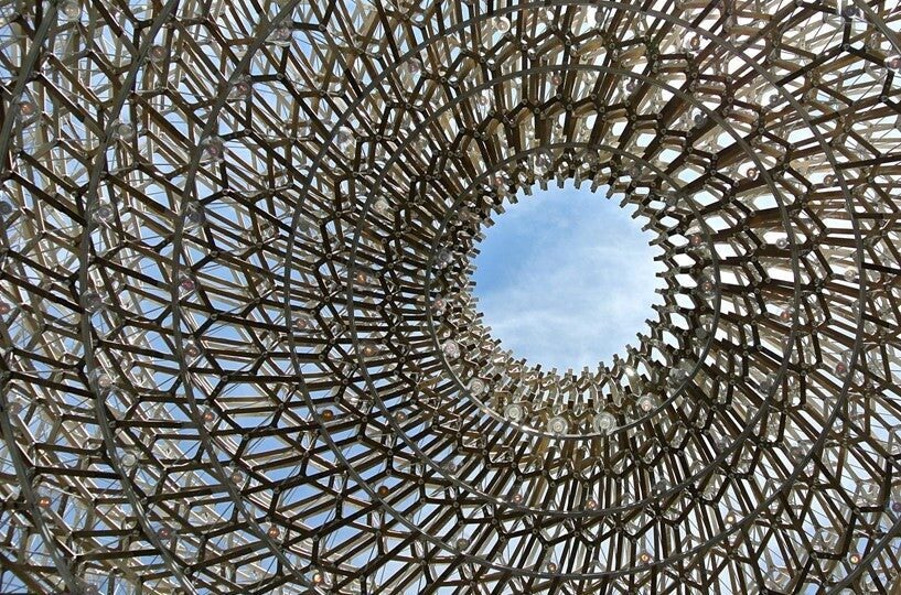 Disruption and diversity – Innovators to watch 2021