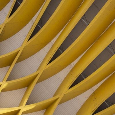 Margaret Goldstein: A 40-year journey of discovery