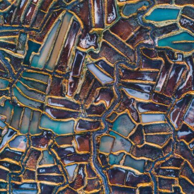 Nevena Šakota: Bringing diplomacy to trademark services