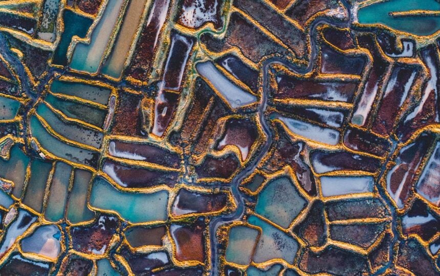 Nevena Šakota: Bringing diplomacy to trademark services