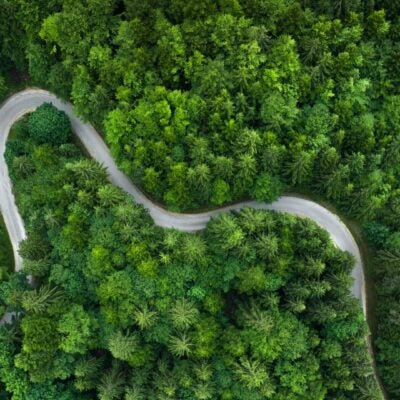 De-risking patent renewals: Partnering with the global leader in annuity services