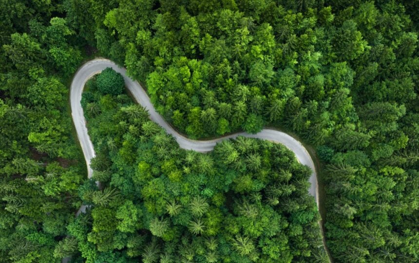 De-risking patent renewals: Partnering with the global leader in annuity services