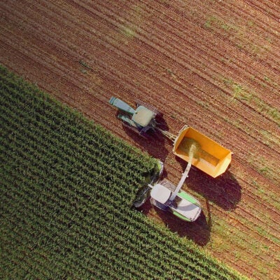 ASEAN food & beverage IP trends: Patent & trademark Landscape