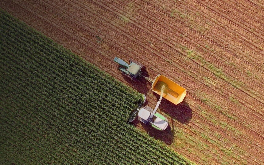 ASEAN food & beverage IP trends: Patent & trademark Landscape